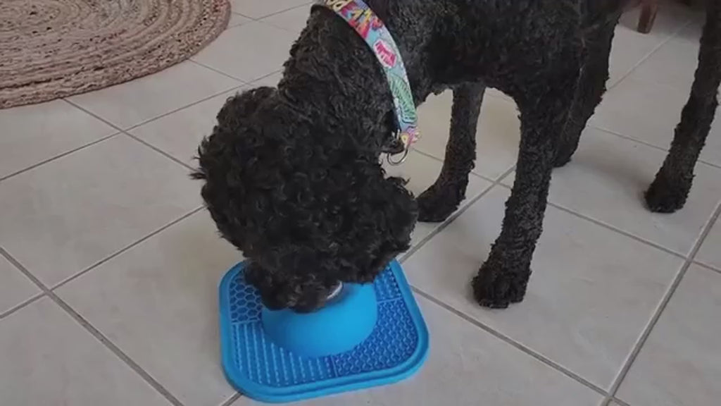 Cuenco lamedor para mascotas con bola rodante